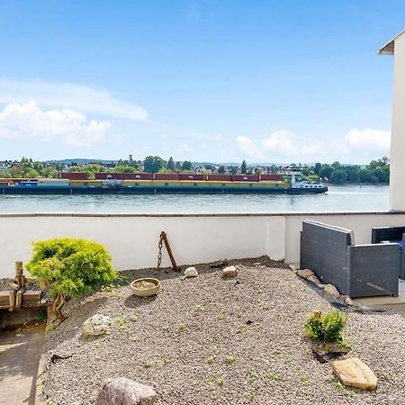 Tiny Apartment With Spacious Terrace On The Rhine Neuwied Extérieur photo
